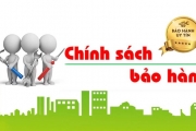 CHÍNH SÁCH BẢO HÀNH VÀ GIAO HÀNG CỦA VINDRIP