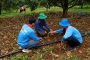 Dự án tại huyện Đắk Mil, tỉnh Đắk Nông